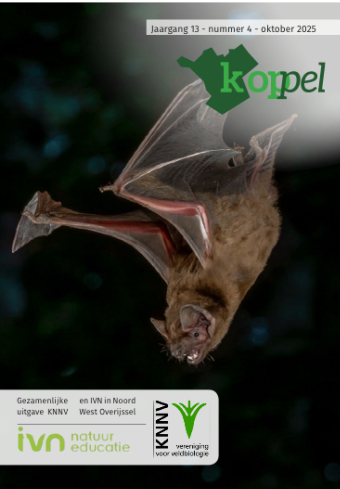 ONLINE….Nieuw….. Koppel Oktober