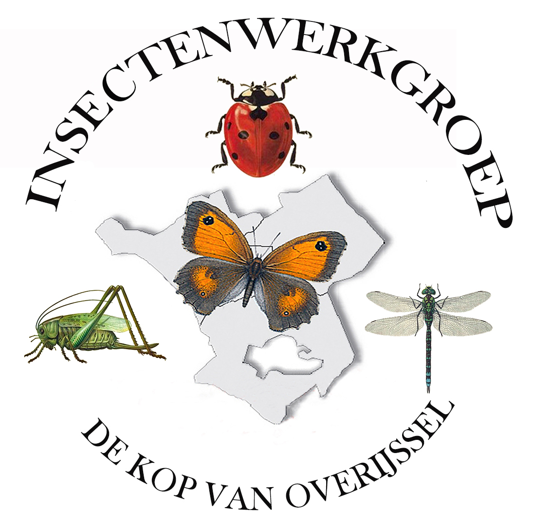 Insecten Werkgroep “De Kop van Overijssel “
