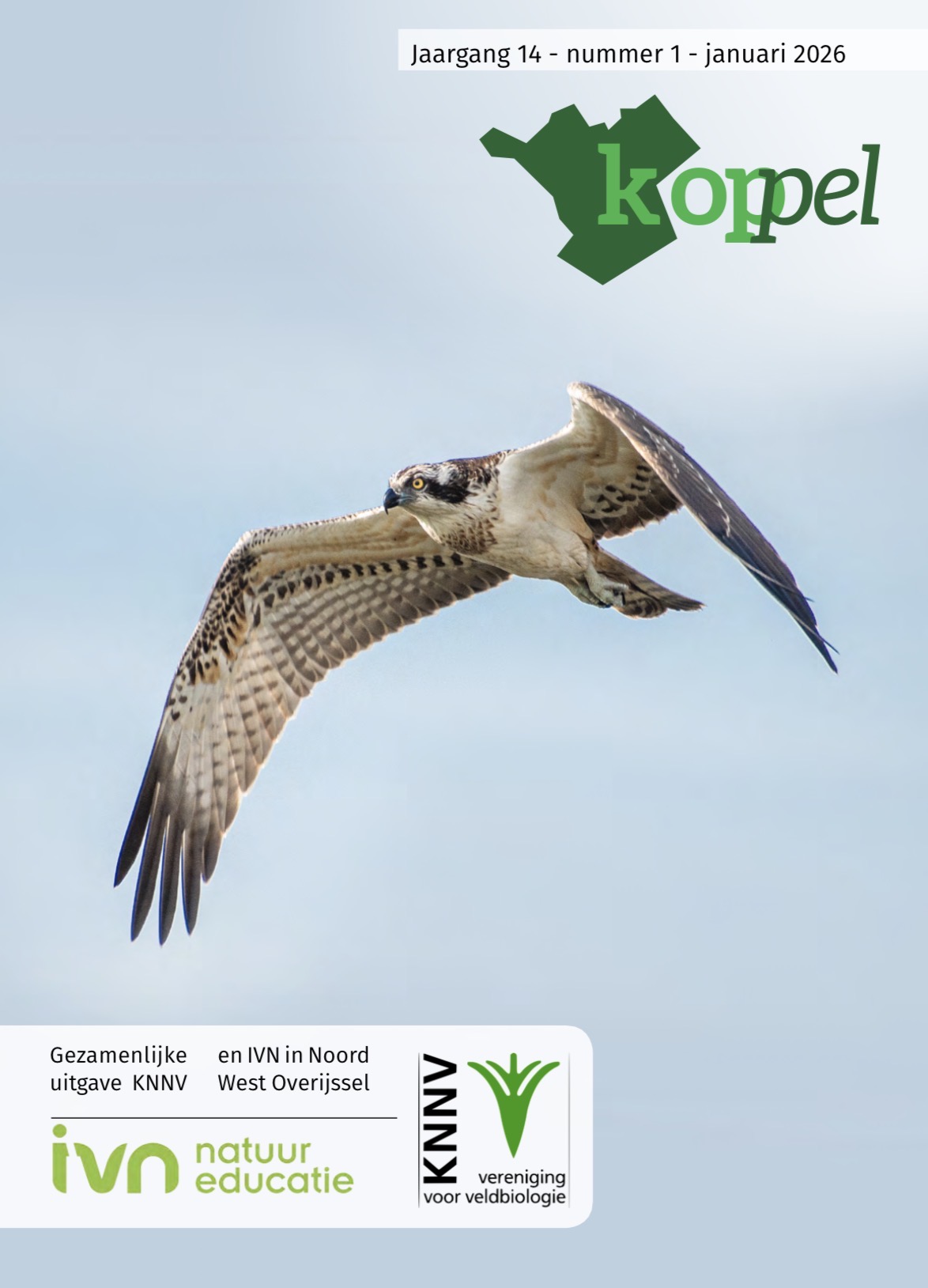ON LINE…NIEUW…Koppel januari 2026.. met video links