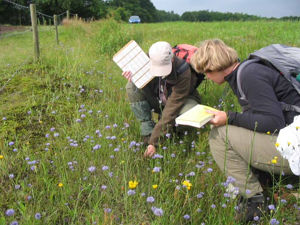 19 november – Lezing “De Drentse flora in beweging” door Ben Hoentjen